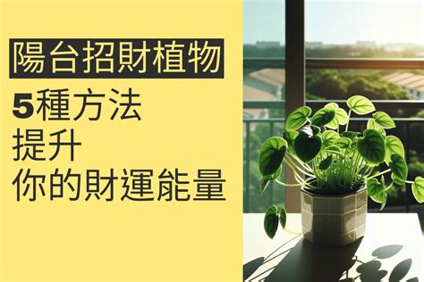 陽台植物招財|陽台放什麼植物招財？吉祥植物報你知 